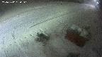 yotec6-20241212190111.jpg