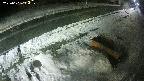 yotec6-20250101040110.jpg