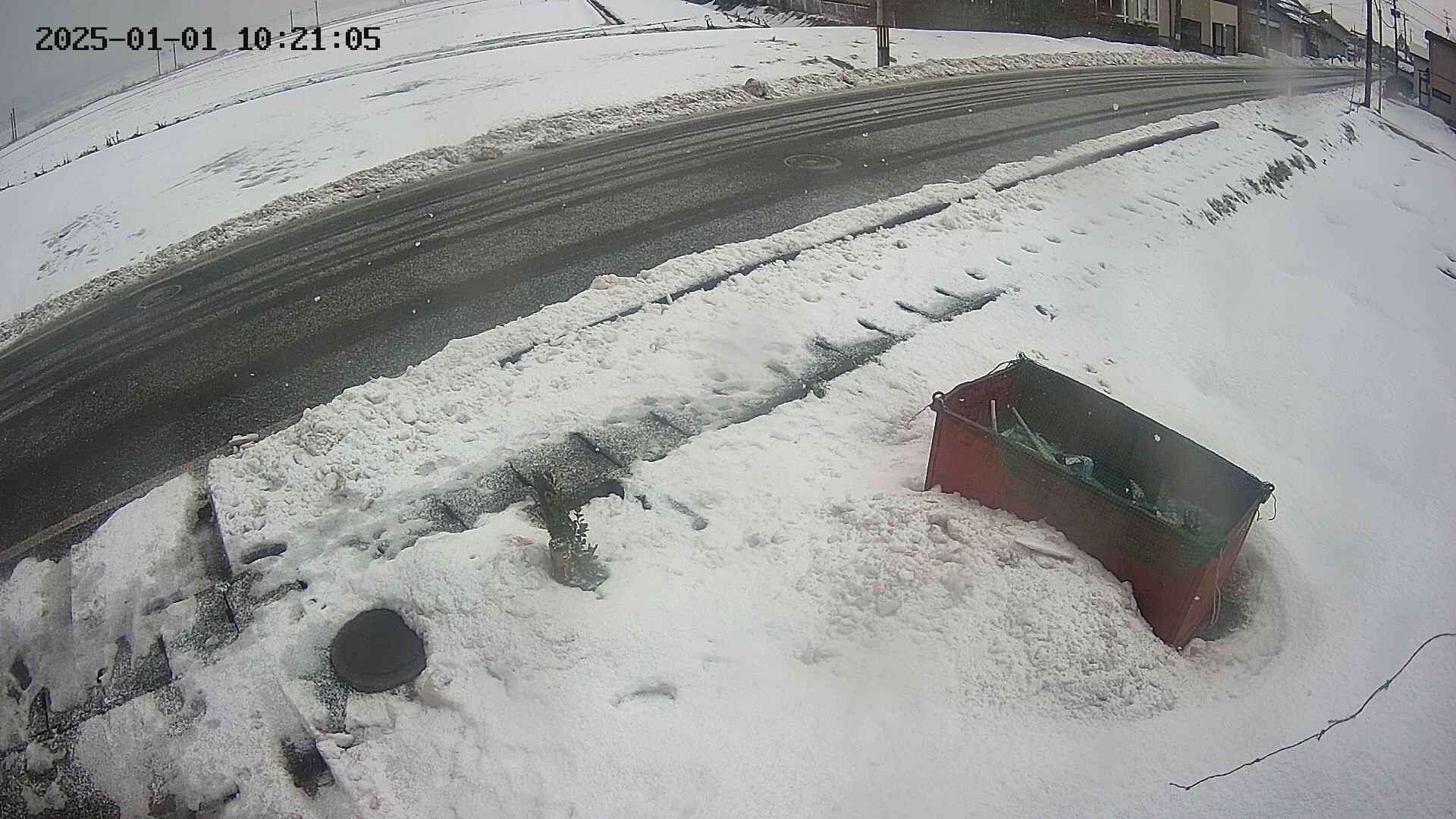 yotec6-20250101102111.jpg
