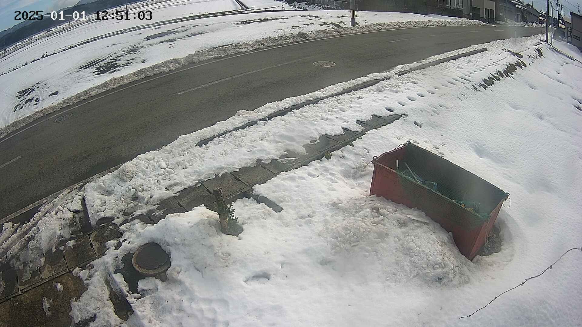 yotec6-20250101125110.jpg