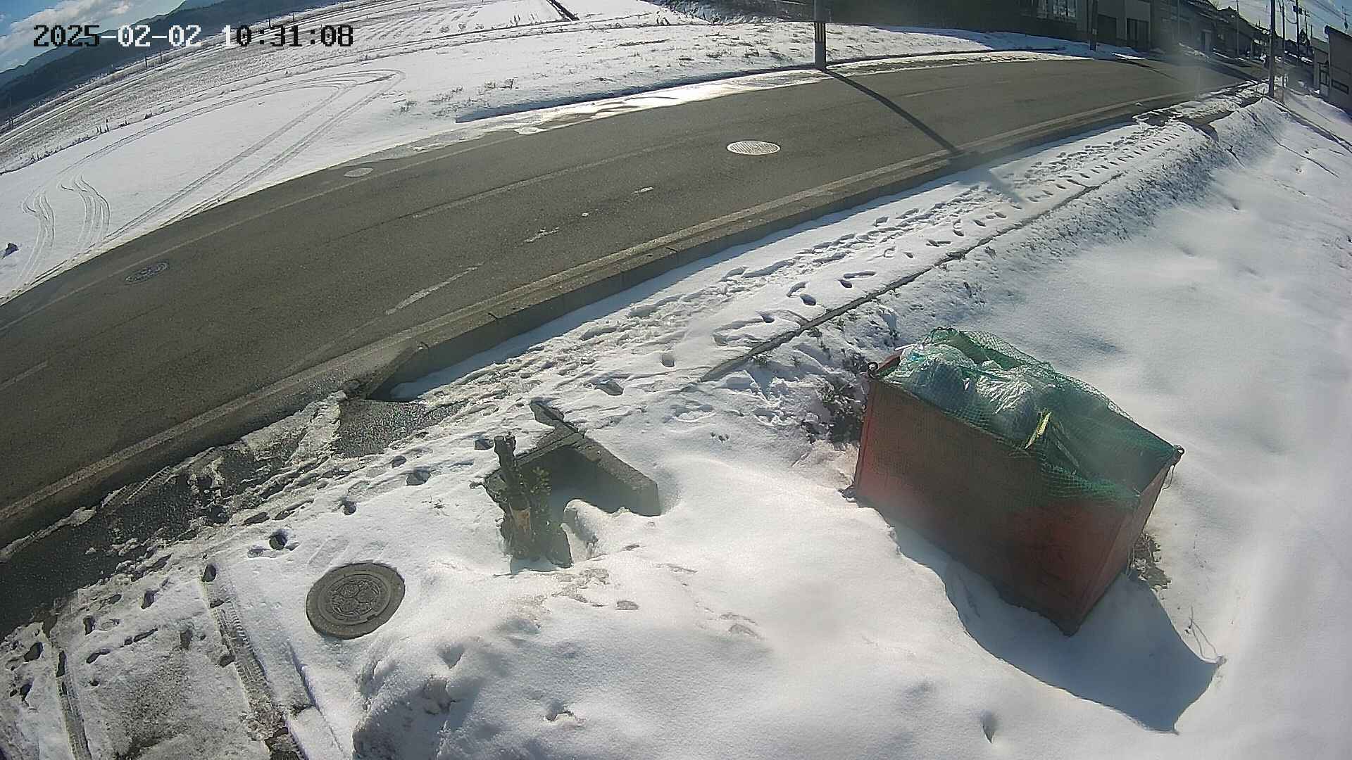 yotec6-20250202103109.jpg
