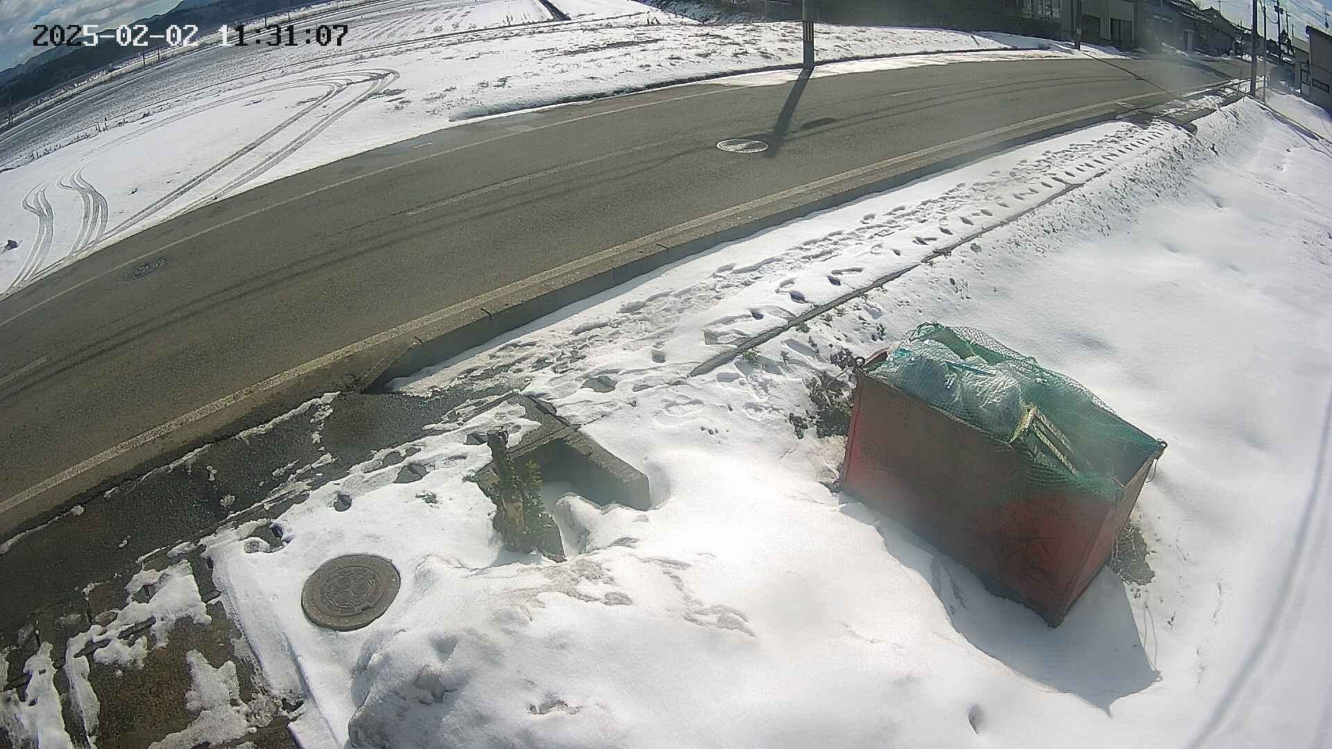 yotec6-20250202113108.jpg
