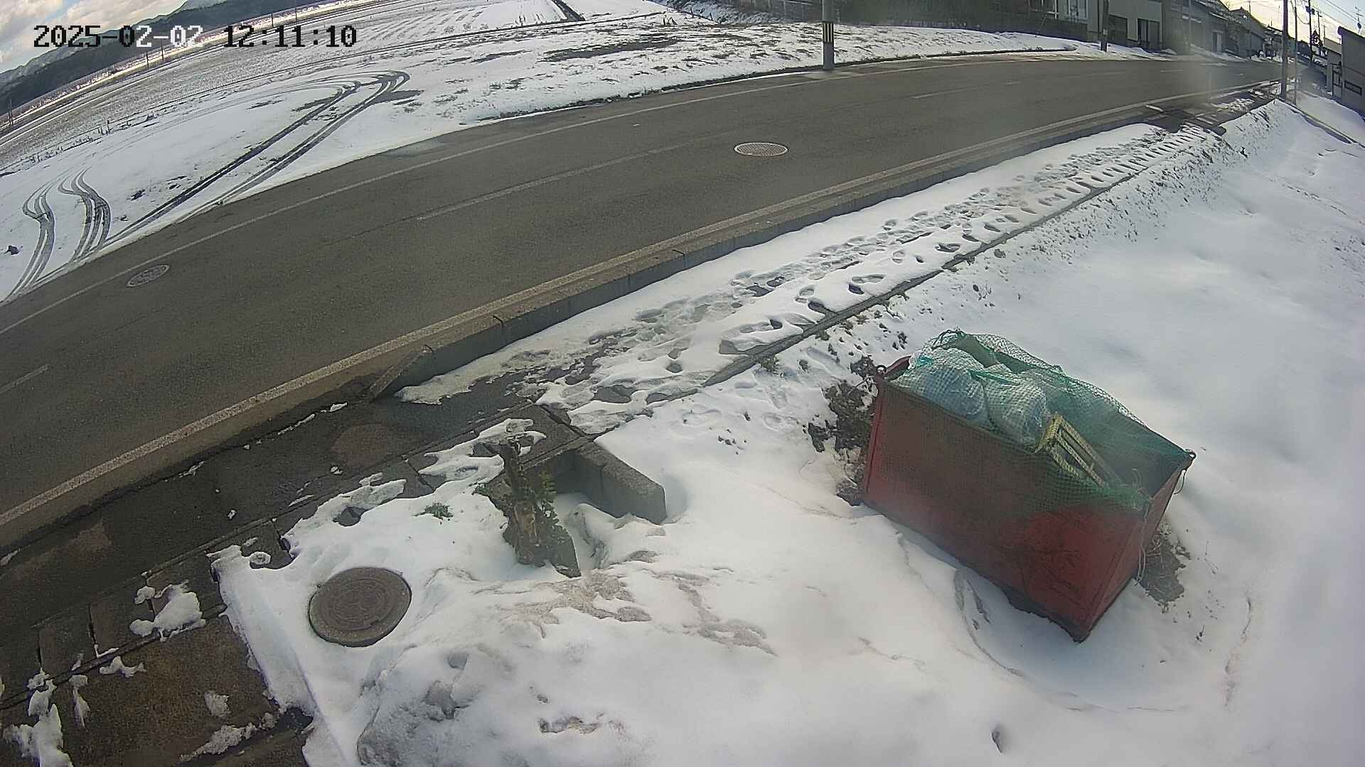 yotec6-20250202121112.jpg