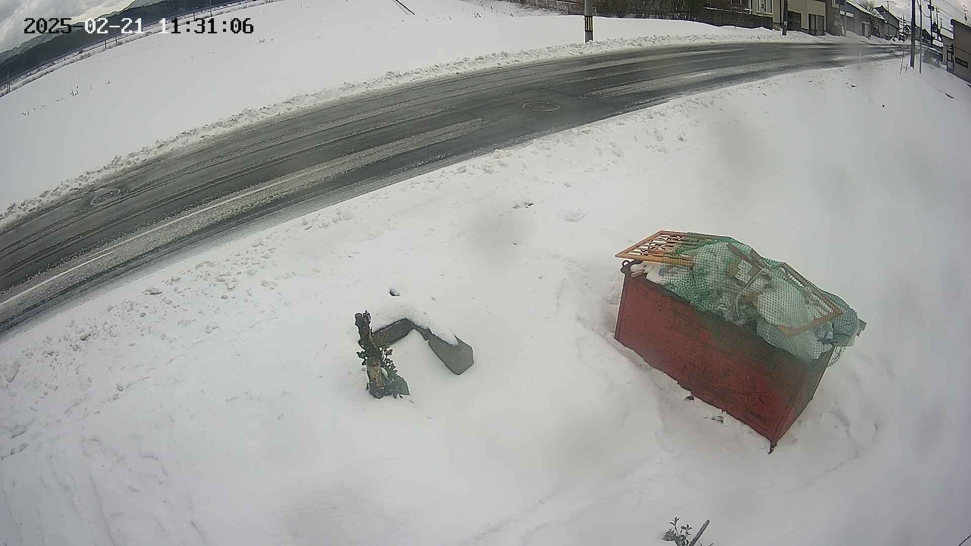 yotec6-20250221113107.jpg