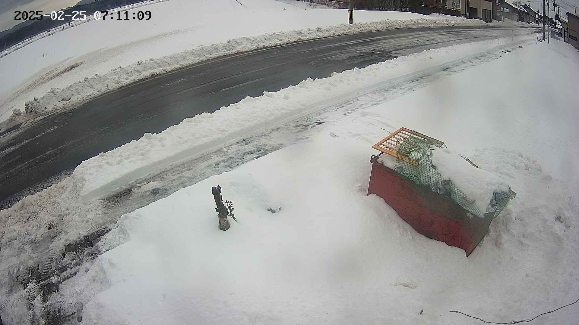 yotec6-20250225071110.jpg