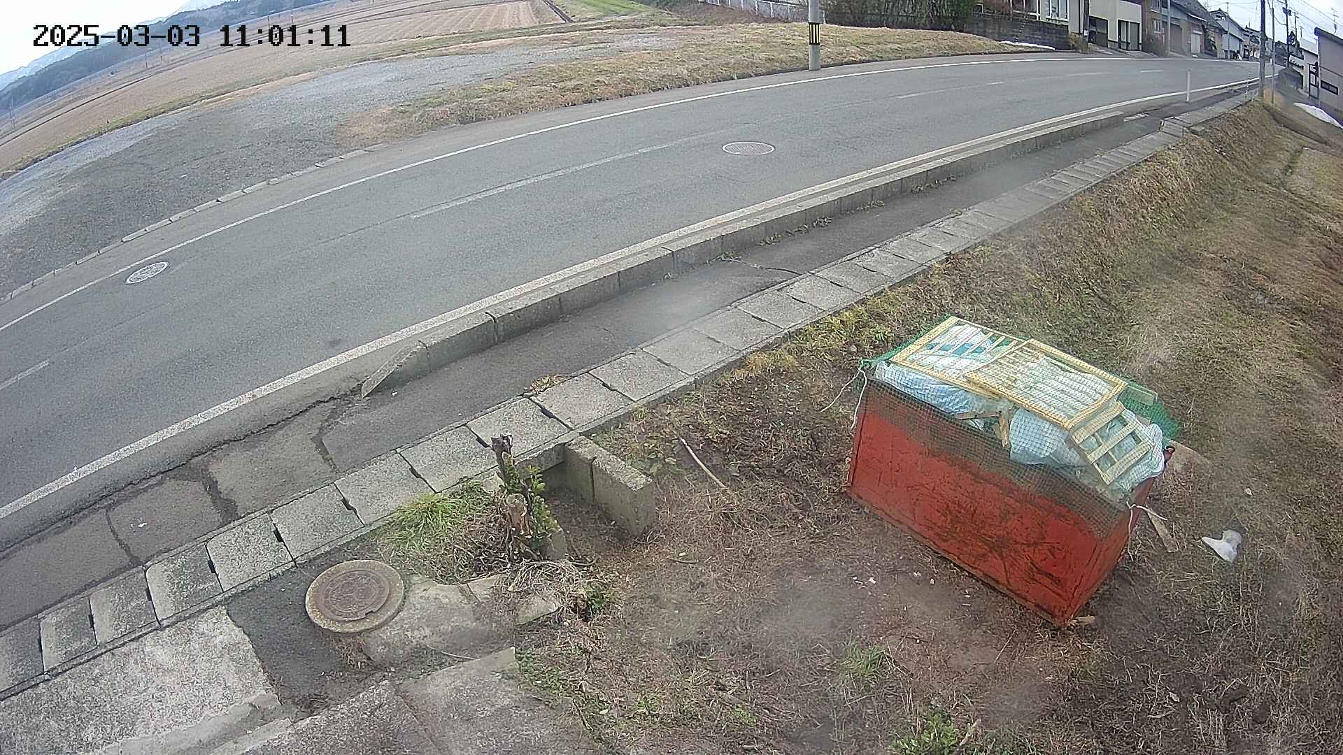 yotec6-20250303110112.jpg