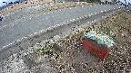 yotec6-20250303150108.jpg