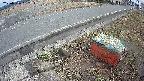 yotec6-20250306132113.jpg