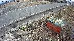 yotec6-20250306133111.jpg