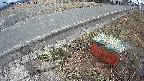 yotec6-20250306153112.jpg
