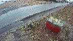 yotec6-20250306174107.jpg