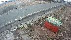 yotec6-20250309061109.jpg