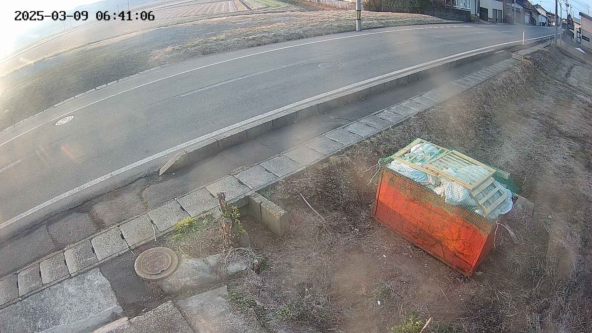 yotec6-20250309064108.jpg