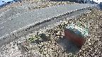 yotec6-20250309132109.jpg