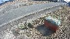 yotec6-20250309141109.jpg