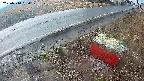 yotec6-20250310060110.jpg