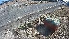 yotec6-20250310142111.jpg