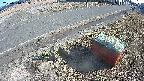 yotec6-20250310153110.jpg