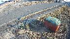 yotec6-20250310164112.jpg