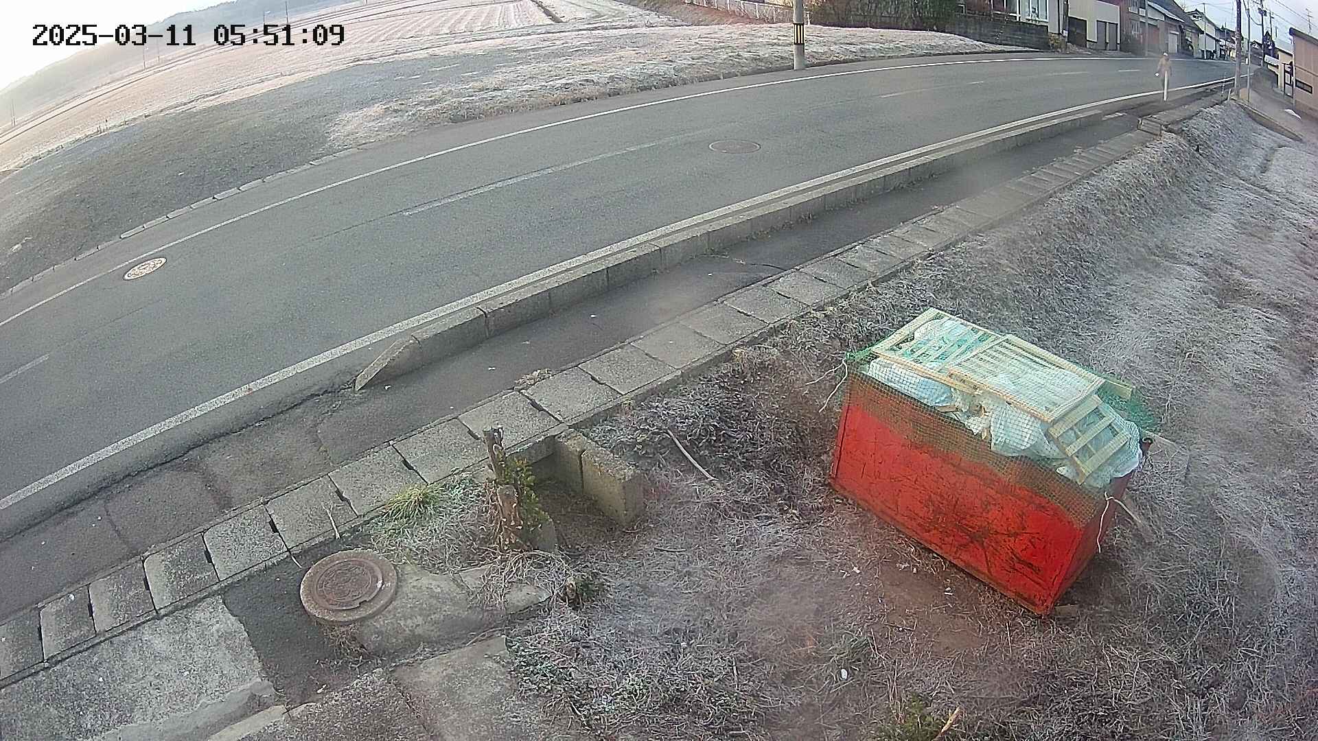 yotec6-20250311055111.jpg