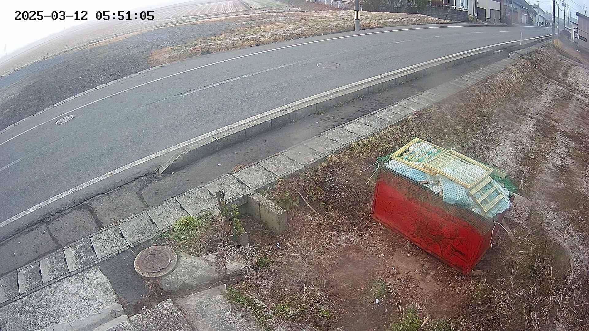 yotec6-20250312055107.jpg
