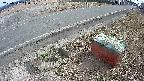 yotec6-20250312140109.jpg