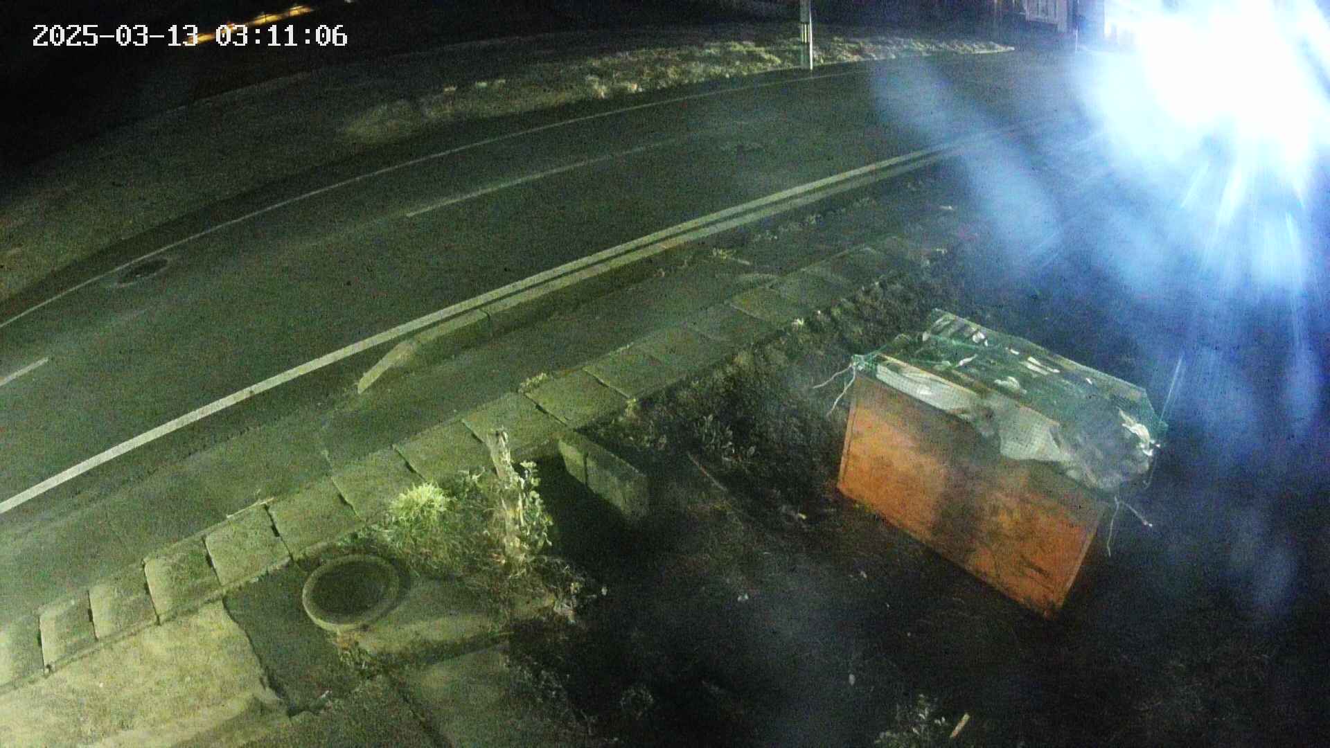 yotec6-20250313031108.jpg