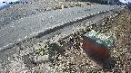 yotec6-20250313103109.jpg
