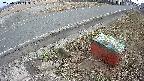 yotec6-20250313143111.jpg