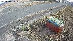 yotec6-20250313160110.jpg