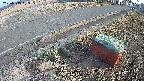 yotec6-20250313163111.jpg