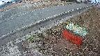 yotec6-20250314054109.jpg