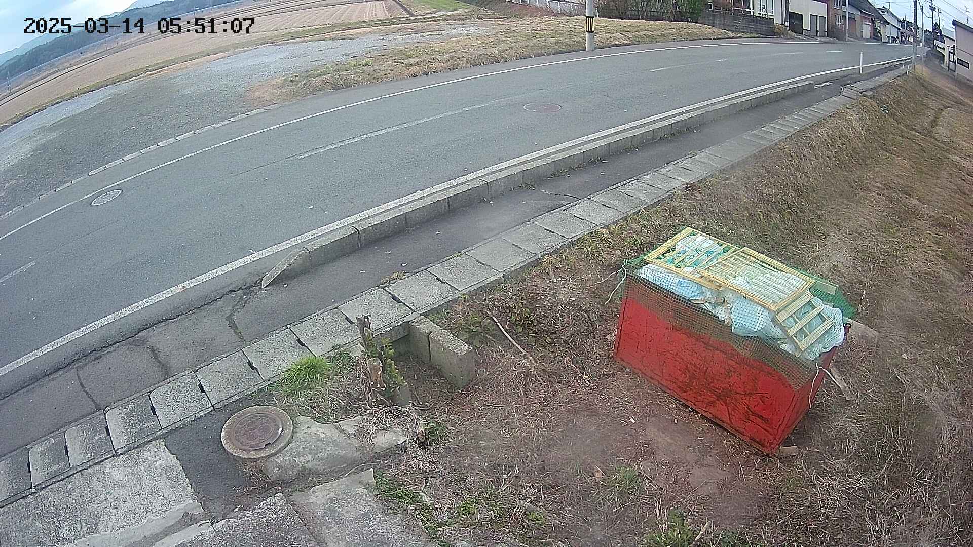 yotec6-20250314055109.jpg