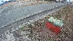 yotec6-20250314055109.jpg