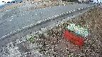 yotec6-20250314060107.jpg