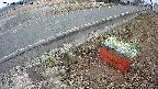 yotec6-20250314064108.jpg