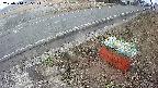 yotec6-20250314065107.jpg