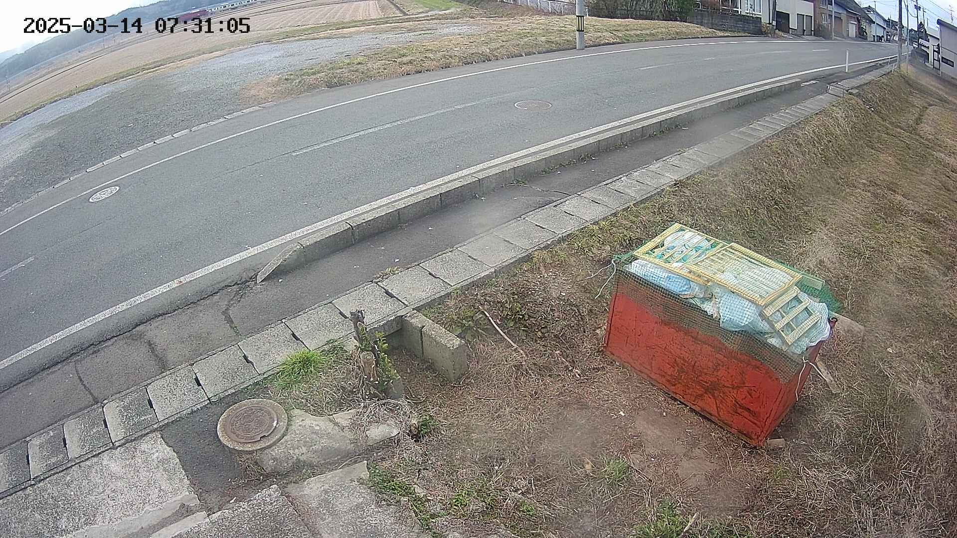 yotec6-20250314073107.jpg