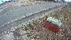 yotec6-20250314173109.jpg