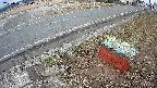 yotec6-20250315074107.jpg