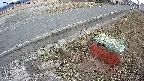 yotec6-20250315160109.jpg