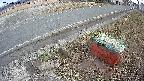 yotec6-20250315164107.jpg