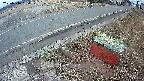 yotec6-20250316060110.jpg