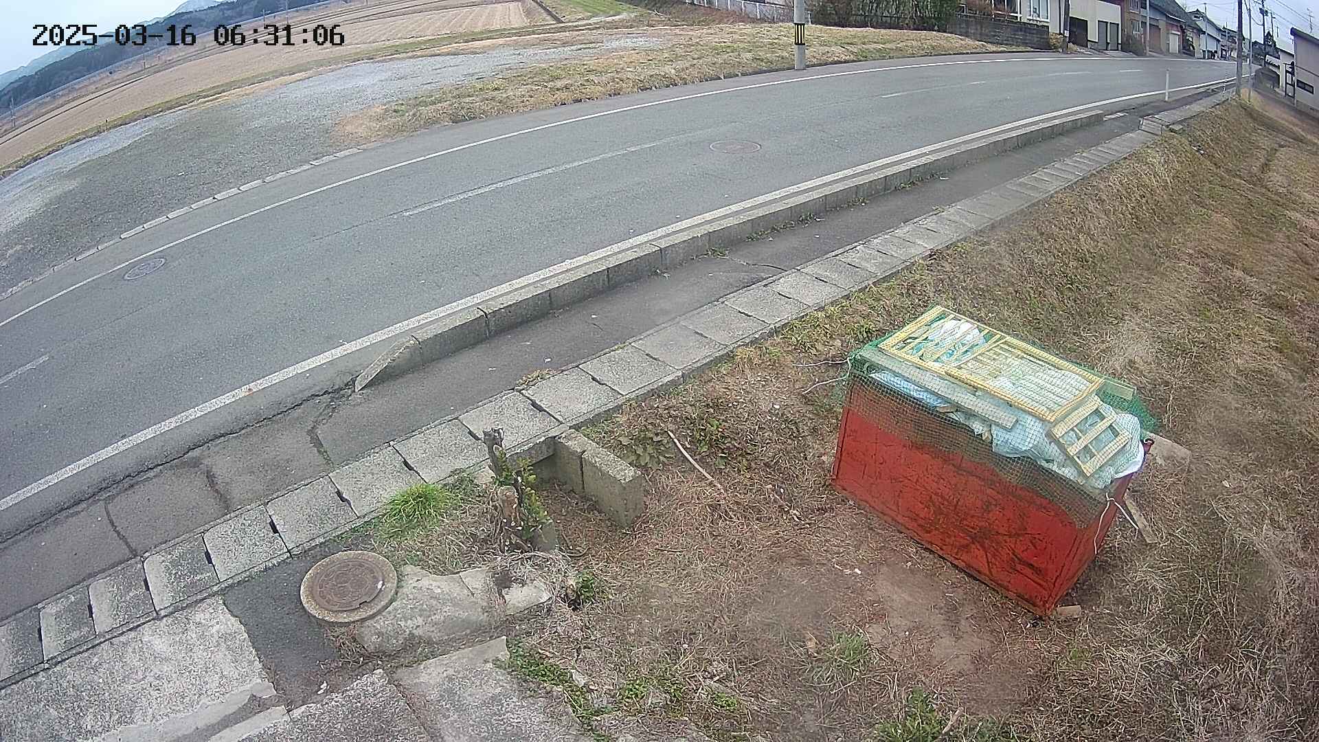 yotec6-20250316063109.jpg