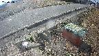 yotec6-20250318091107.jpg