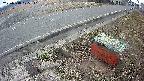yotec6-20250318105112.jpg