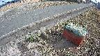 yotec6-20250318153109.jpg