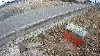 yotec6-20250319071110.jpg