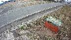 yotec6-20250319094107.jpg