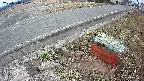 yotec6-20250319102110.jpg